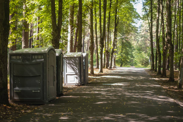 Best Porta potty rental for festivals  in Bolindale, OH